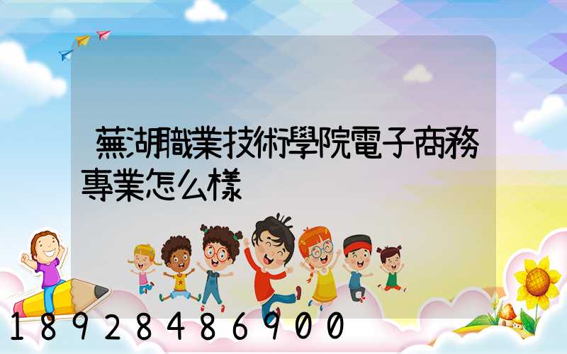 蕪湖職業技術學院電子商務專業怎么樣