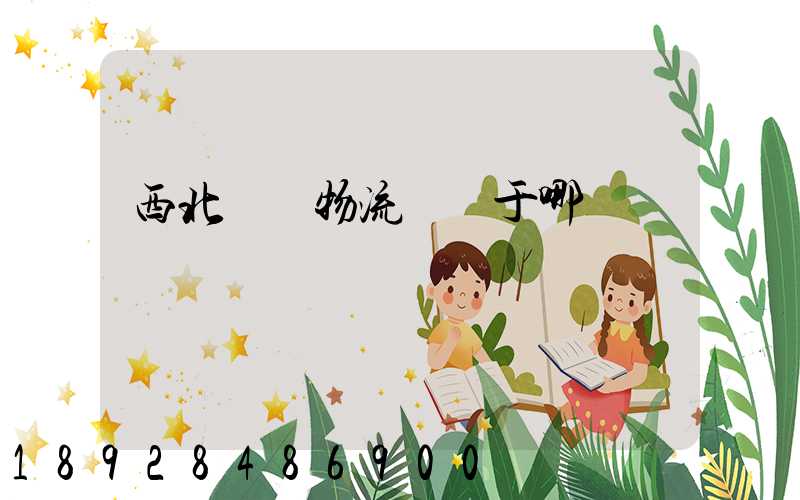 西北國際物流園屬于哪個區
