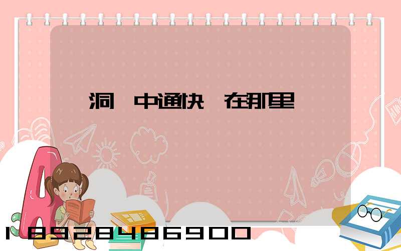 詩洞鎮中通快遞在那里