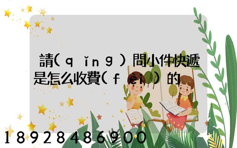 請(qǐng)問小件快遞是怎么收費(fèi)的