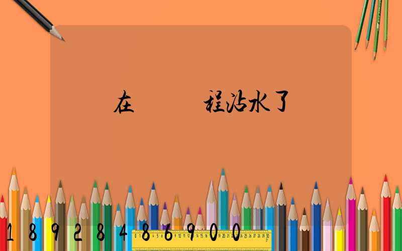 貓糧在運輸過程沾水了