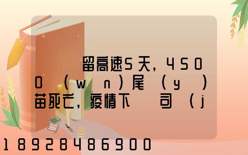 貨車滯留高速5天,4500萬(wàn)尾魚(yú)苗死亡,疫情下貨車司機(jī)有多不易