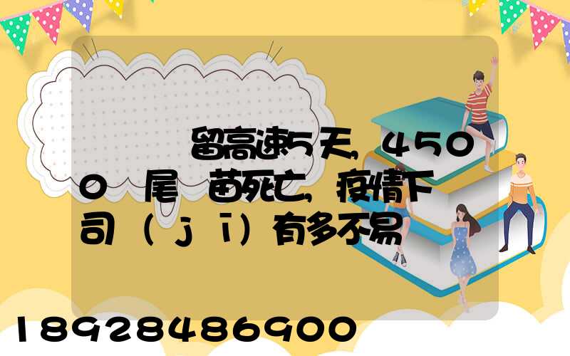 貨車滯留高速5天,4500萬尾魚苗死亡,疫情下貨車司機(jī)有多不易