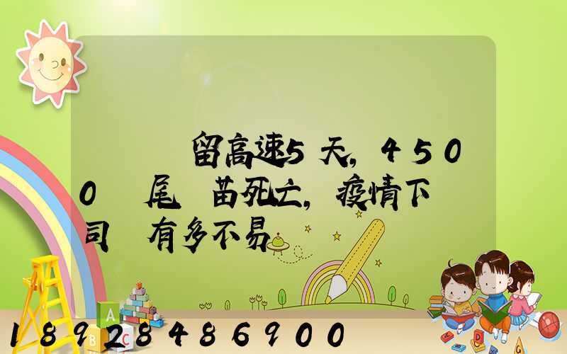 貨車滯留高速5天,4500萬尾魚苗死亡,疫情下貨車司機有多不易