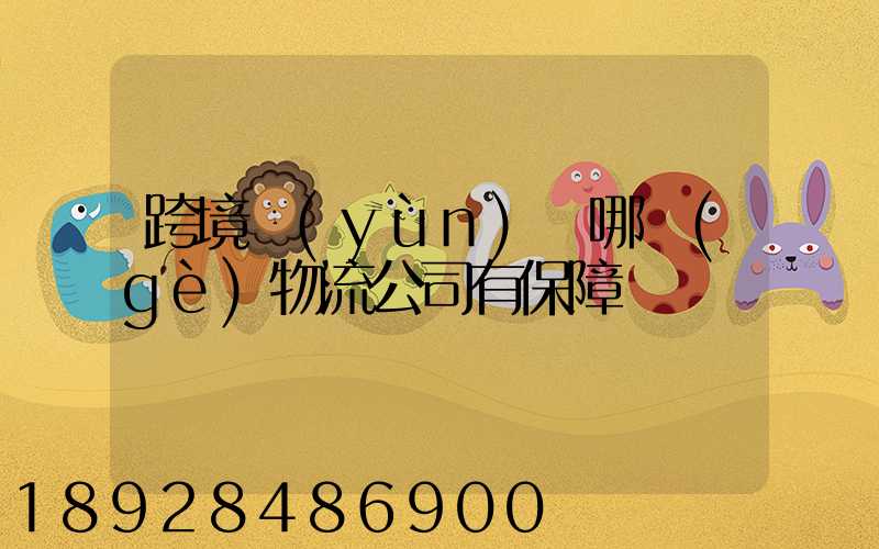 跨境運(yùn)輸哪個(gè)物流公司有保障