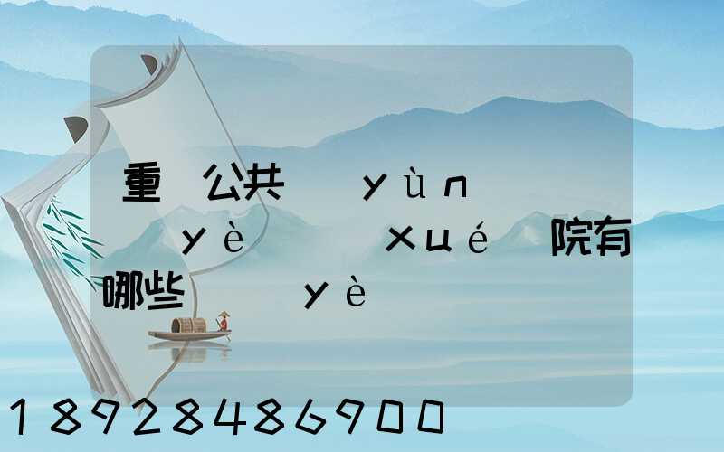 重慶公共運(yùn)輸職業(yè)學(xué)院有哪些專業(yè)