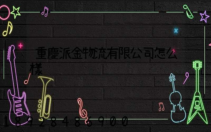 重慶派金物流有限公司怎么樣