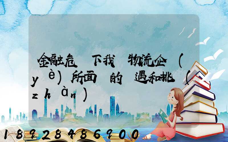 金融危機下我國物流企業(yè)所面對的機遇和挑戰(zhàn)