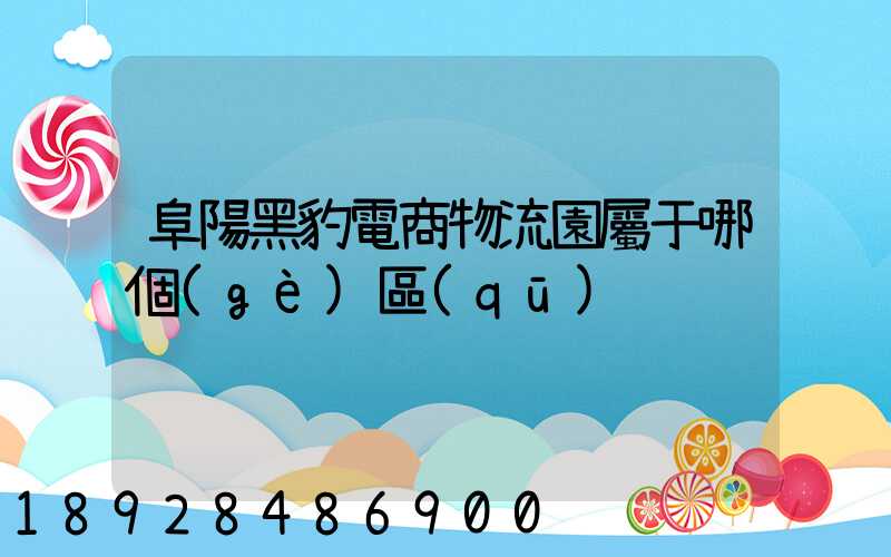 阜陽黑豹電商物流園屬于哪個(gè)區(qū)