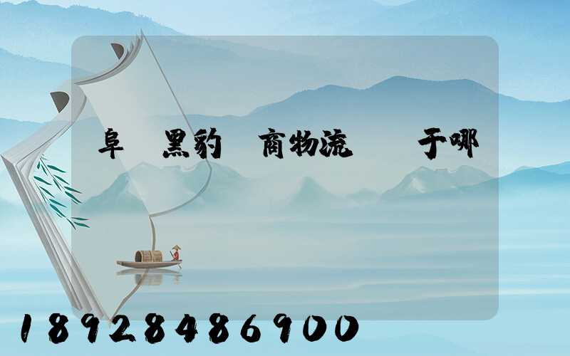 阜陽黑豹電商物流園屬于哪個區(qū)