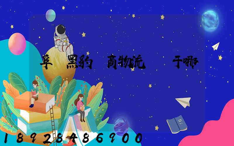 阜陽黑豹電商物流園屬于哪個區