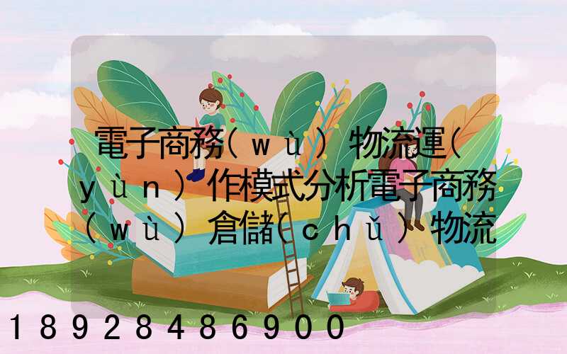 電子商務(wù)物流運(yùn)作模式分析電子商務(wù)倉儲(chǔ)物流模式分析