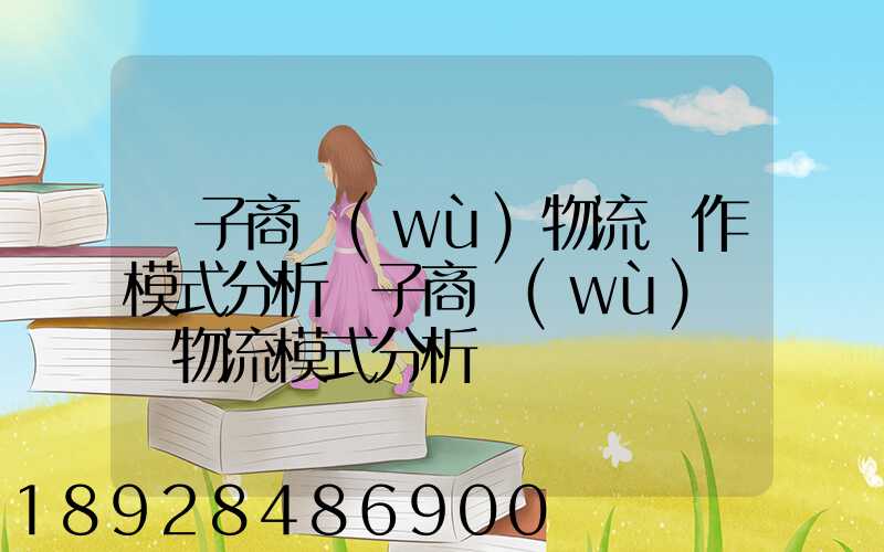 電子商務(wù)物流運作模式分析電子商務(wù)倉儲物流模式分析