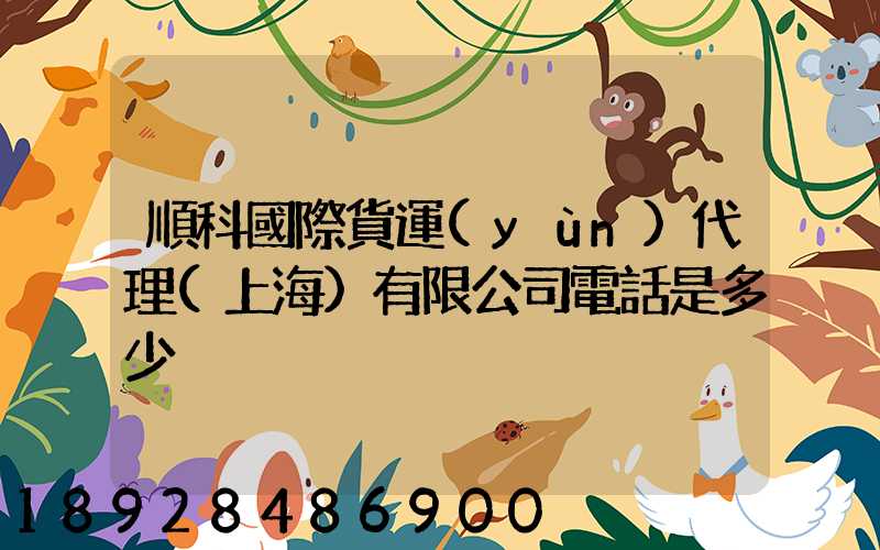 順科國際貨運(yùn)代理(上海)有限公司電話是多少