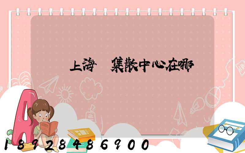 順豐上海總集散中心在哪