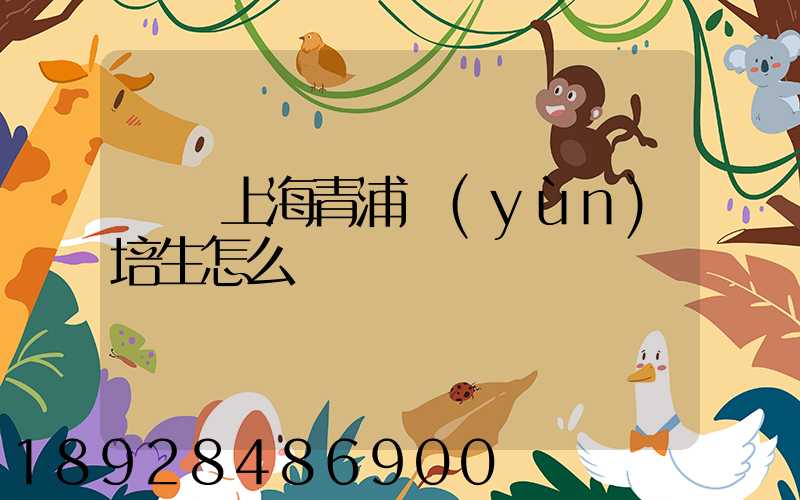 順豐上海青浦運(yùn)培生怎么樣