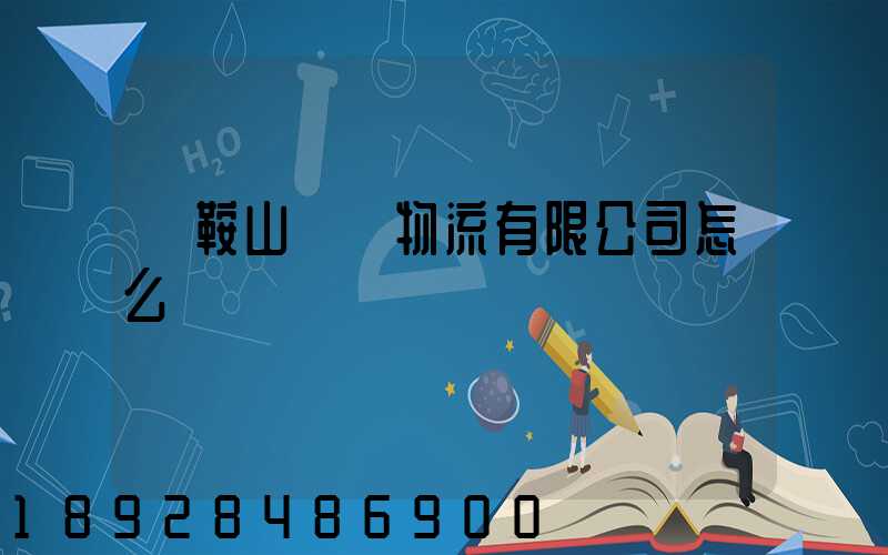 馬鞍山鐵獅物流有限公司怎么樣