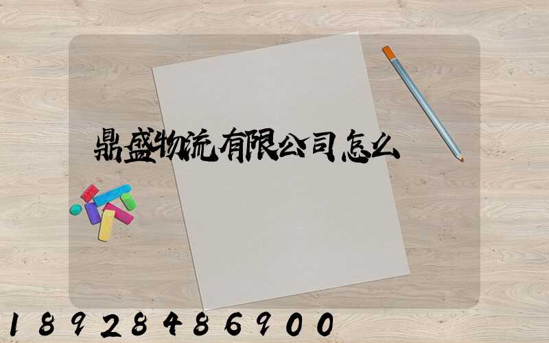 鼎盛物流有限公司怎么樣